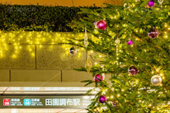 田園調布駅のクリスマスツリー,クリスマスツリー,イルミネーション,イルミ,田園調布駅,田園調布,駅,東急電鉄,東京,大田区,東横線,目黒線,電飾,電球,発光ダイオード,冬,キラキラ,綺麗,きれい,キレイ,煌,輝,デート,クリスマス,飾り,デコレーション,イベント,モミの木,もみの木,オーナメント,ボール,駅名,看板,標示,illumination,tree,LED,CHRISTMAS,Xmas,ornament,japan,tokyo,フルサイズ撮影