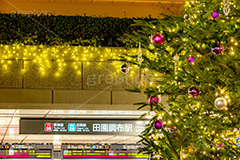 田園調布駅のクリスマスツリー,クリスマスツリー,イルミネーション,イルミ,田園調布駅,田園調布,駅,東急電鉄,東京,大田区,東横線,目黒線,電飾,電球,発光ダイオード,冬,キラキラ,綺麗,きれい,キレイ,煌,輝,デート,クリスマス,飾り,デコレーション,イベント,モミの木,もみの木,オーナメント,ボール,駅名,看板,標示,illumination,tree,LED,CHRISTMAS,Xmas,ornament,japan,tokyo,フルサイズ撮影