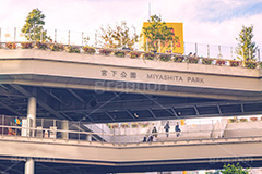 ミヤシタパーク,宮下パーク,宮下公園,施設,商業施設,看板,渋谷,しぶや,シブヤ,shibuya,japan,フルサイズ撮影