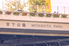 ミヤシタパーク,宮下パーク,宮下公園,施設,商業施設,看板,渋谷,しぶや,シブヤ,shibuya,japan,フルサイズ撮影