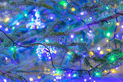 光り輝くクリスマスツリー,クリスマスツリー,イルミネーション,イルミ,電飾,電球,発光ダイオード,冬,キラキラ,綺麗,きれい,キレイ,煌,輝,デート,クリスマス,飾り,デコレーション,イベント,モミの木,もみの木,オーナメント,ボール,illumination,tree,LED,CHRISTMAS,Xmas,ornament,フルサイズ撮影