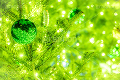 光り輝くクリスマスツリー,クリスマスツリー,イルミネーション,イルミ,電飾,電球,発光ダイオード,冬,キラキラ,綺麗,きれい,キレイ,煌,輝,デート,クリスマス,飾り,デコレーション,イベント,モミの木,もみの木,オーナメント,ボール,illumination,tree,LED,CHRISTMAS,Xmas,ornament,フルサイズ撮影