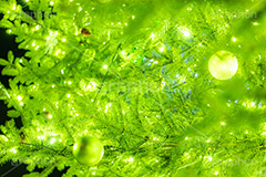 光り輝くクリスマスツリー,クリスマスツリー,イルミネーション,イルミ,電飾,電球,発光ダイオード,冬,キラキラ,綺麗,きれい,キレイ,煌,輝,デート,クリスマス,飾り,デコレーション,イベント,モミの木,もみの木,オーナメント,ボール,illumination,tree,LED,CHRISTMAS,Xmas,ornament,フルサイズ撮影