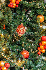 クリスマスオーナメント,クリスマスツリー,ツリー,オーナメント,ボール,イルミネーション,イルミ,電飾,電球,冬,キラキラ,綺麗,きれい,キレイ,煌,輝,デート,クリスマス,飾り,デコレーション,イベント,CHRISTMAS,Xmas,ornament,illumination,フルサイズ撮影