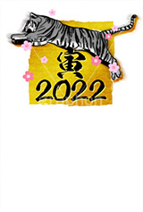 寅イラスト,寅,虎,トラ,とら,リアル,寅年,干支,キャラクター,キャラ,動物,正月,お正月,年賀状,新年,筆,水彩,水彩画,年号,西暦,梅,金箔,タイガー,ジャンプ,ニューイヤー,アニバーサリー,イラスト,2022,illustration,japan,character,tiger