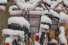 自転車に積もった雪,雪の朝,雪,積もる,冬,サドル,ハンドル,自転車,寒い,凍る,困る,カゴ,かご,籠,駐輪場,降る,積雪,snow,winter,フルサイズ撮影