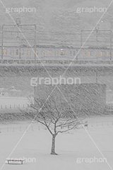 大雪の多摩川,大雪,多摩川,河川敷,線路,線路沿い,鉄道,電車,車両,電車/鉄道,電線,架線,架線柱,東横線,目黒線,雪,寒波,吹雪,視界,冬,寒い,積雪,snow,winter,train,フルサイズ撮影