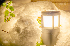 雪の夜,草木に積もる雪,街頭,照明,雑草,草木,雪,ゆき,積,冬,積雪,風情,snow,winter,フルサイズ撮影