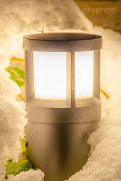 雪の夜,草木に積もる雪,街頭,照明,雑草,草木,雪,ゆき,積,冬,積雪,風情,snow,winter,フルサイズ撮影