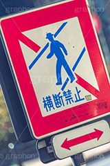 横断禁止,横断,禁止,注意,道路,交通,標識,標示,歩行者,歩行,停止,道,看板,注意,ルール,rule,stop,road,フルサイズ撮影