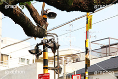 踏切,ふみきり,線路沿い,鉄道,電車/鉄道,交通,標識,ルール,マナー,事故,事件,遅延,ニュース,標示,train