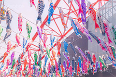 東京タワーと鯉のぼり,こいのぼり,鯉のぼり,5月5日,端午,節句,こどもの日,子供の日,こども,子供,東京タワー,とうきょうタワー,港区,和,文化,風習,行事,なびく,Tokyo Tower,event,kids,japan