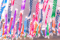 東京タワーと鯉のぼり,こいのぼり,鯉のぼり,5月5日,端午,節句,こどもの日,子供の日,こども,子供,東京タワー,とうきょうタワー,港区,和,文化,風習,行事,なびく,Tokyo Tower,event,kids,japan