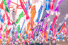 東京タワーと鯉のぼり,こいのぼり,鯉のぼり,5月5日,端午,節句,こどもの日,子供の日,こども,子供,東京タワー,とうきょうタワー,港区,和,文化,風習,行事,なびく,Tokyo Tower,event,kids,japan