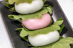 かしわ餅,柏餅,かしわもち,もち,餅,おもち,和菓子,菓子,お菓子,お茶請け,デザート,あん,餡子,あんこ,カシワ,かしわ,つぶあん,こしあん,5月5日,端午,節句,供物,こどもの日,子供の日,こども,子供,しばもち,葉,葉っぱ,和,和食,日本食,文化,風習,行事,スイーツ,dessert,japan,kids,フルサイズ撮影