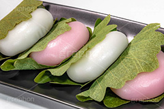 かしわ餅,柏餅,かしわもち,もち,餅,おもち,和菓子,菓子,お菓子,お茶請け,デザート,あん,餡子,あんこ,カシワ,かしわ,つぶあん,こしあん,5月5日,端午,節句,供物,こどもの日,子供の日,こども,子供,しばもち,葉,葉っぱ,和,和食,日本食,文化,風習,行事,スイーツ,dessert,japan,kids,フルサイズ撮影