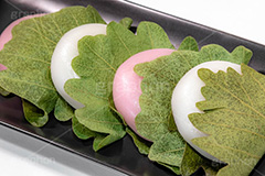 かしわ餅,柏餅,かしわもち,もち,餅,おもち,和菓子,菓子,お菓子,お茶請け,デザート,あん,餡子,あんこ,カシワ,かしわ,つぶあん,こしあん,5月5日,端午,節句,供物,こどもの日,子供の日,こども,子供,しばもち,葉,葉っぱ,和,和食,日本食,文化,風習,行事,スイーツ,dessert,japan,kids,フルサイズ撮影