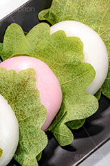 かしわ餅,柏餅,かしわもち,もち,餅,おもち,和菓子,菓子,お菓子,お茶請け,デザート,あん,餡子,あんこ,カシワ,かしわ,つぶあん,こしあん,5月5日,端午,節句,供物,こどもの日,子供の日,こども,子供,しばもち,葉,葉っぱ,和,和食,日本食,文化,風習,行事,スイーツ,dessert,japan,kids,フルサイズ撮影