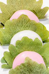 かしわ餅,柏餅,かしわもち,もち,餅,おもち,和菓子,菓子,お菓子,お茶請け,デザート,あん,餡子,あんこ,カシワ,かしわ,つぶあん,こしあん,5月5日,端午,節句,供物,こどもの日,子供の日,こども,子供,しばもち,葉,葉っぱ,和,和食,日本食,文化,風習,行事,スイーツ,dessert,japan,kids,フルサイズ撮影