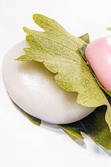 かしわ餅,柏餅,かしわもち,もち,餅,おもち,和菓子,菓子,お菓子,お茶請け,デザート,あん,餡子,あんこ,カシワ,かしわ,つぶあん,こしあん,5月5日,端午,節句,供物,こどもの日,子供の日,こども,子供,しばもち,葉,葉っぱ,和,和食,日本食,文化,風習,行事,スイーツ,dessert,japan,kids,フルサイズ撮影
