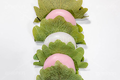 かしわ餅,柏餅,かしわもち,もち,餅,おもち,和菓子,菓子,お菓子,お茶請け,デザート,あん,餡子,あんこ,カシワ,かしわ,つぶあん,こしあん,5月5日,端午,節句,供物,こどもの日,子供の日,こども,子供,しばもち,葉,葉っぱ,和,和食,日本食,文化,風習,行事,スイーツ,dessert,japan,kids,フルサイズ撮影