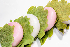 かしわ餅,柏餅,かしわもち,もち,餅,おもち,和菓子,菓子,お菓子,お茶請け,デザート,あん,餡子,あんこ,カシワ,かしわ,つぶあん,こしあん,5月5日,端午,節句,供物,こどもの日,子供の日,こども,子供,しばもち,葉,葉っぱ,和,和食,日本食,文化,風習,行事,スイーツ,dessert,japan,kids,フルサイズ撮影