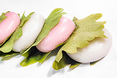 かしわ餅,柏餅,かしわもち,もち,餅,おもち,和菓子,菓子,お菓子,お茶請け,デザート,あん,餡子,あんこ,カシワ,かしわ,つぶあん,こしあん,5月5日,端午,節句,供物,こどもの日,子供の日,こども,子供,しばもち,葉,葉っぱ,和,和食,日本食,文化,風習,行事,スイーツ,dessert,japan,kids,フルサイズ撮影
