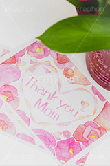 Thank you Mom,手紙,メッセージ,ハート,カーネーションのアレンジメント,アレンジメント,花束,贈り物,カーネーション,母の日,ナデシコ科,ナデシコ属,花,お花,春,フラワー,プレゼント,ありがとう,感謝,お礼,母,お母さん,生花,spring,flower,carnation,present,mother's day,thank you,mom,heart,フルサイズ撮影
