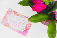 Thank you Mom,手紙,メッセージ,ハート,カーネーションのアレンジメント,アレンジメント,花束,贈り物,カーネーション,母の日,ナデシコ科,ナデシコ属,花,お花,春,フラワー,プレゼント,ありがとう,感謝,お礼,母,お母さん,生花,spring,flower,carnation,present,mother's day,thank you,mom,heart,フルサイズ撮影