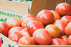 積まれたトマト,トマト,とまと,八百屋,店頭,積み,たくさん,収穫,農家,真っ赤,野菜,リコピン,美容,甘酸っぱい,サラダ,さらだ,salad,tomato,lycopene,フルサイズ撮影