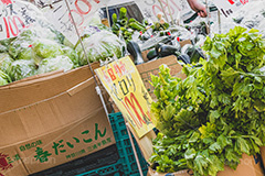 八百屋,野菜,セロリ,レタス,段ボール,店頭,積み,収穫,農家,vegetable,フルサイズ撮影