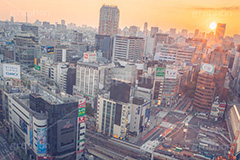 渋谷の夜明け,夜明け,朝日,朝焼け,朝,早朝,静か,東口,渋谷,しぶや,看板,広告,観光,交差点,渋谷駅,駅前,横断歩道,信号,japan,shibuya,sunrise,フルサイズ撮影