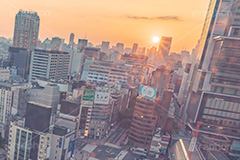 渋谷の夜明け,夜明け,朝日,朝焼け,朝,早朝,静か,東口,渋谷,しぶや,看板,広告,観光,交差点,渋谷駅,駅前,横断歩道,信号,japan,shibuya,sunrise,フルサイズ撮影