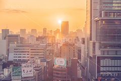 渋谷の夜明け,夜明け,朝日,朝焼け,朝,早朝,静か,東口,ヒカリエ,渋谷,しぶや,看板,広告,観光,商業施設,渋谷駅,駅前,japan,shibuya,sunrise,フルサイズ撮影