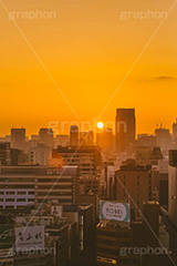渋谷の夜明け,夜明け,朝日,朝焼け,朝,早朝,静か,東口,渋谷,しぶや,看板,広告,観光,渋谷駅,駅前,japan,shibuya,sunrise