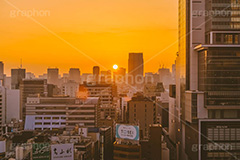 渋谷の夜明け,夜明け,朝日,朝焼け,朝,早朝,静か,東口,渋谷,しぶや,看板,広告,観光,交差点,渋谷駅,駅前,横断歩道,信号,japan,shibuya,sunrise