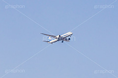 青空と飛行機,飛行機,青空,空,飛ぶ,ひこうき,青空,航空,旅,旅行,ANA,plane,フルサイズ撮影