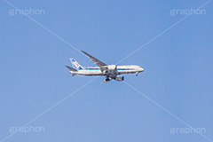 青空と飛行機,飛行機,青空,空,飛ぶ,ひこうき,青空,航空,旅,旅行,ANA,plane,フルサイズ撮影