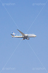青空と飛行機,飛行機,青空,空,飛ぶ,ひこうき,青空,航空,旅,旅行,ANA,plane,フルサイズ撮影