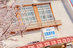 春の田園調布駅,春,桜,サクラ,さくら,田園調布駅,田園調布,駅,東急電鉄,東京,大田区,駅舎,復元,東横線,目黒線,駅名,看板,標示,japan,tokyo