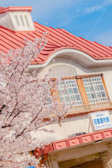 春の田園調布駅,春,桜,サクラ,さくら,田園調布駅,田園調布,駅,東急電鉄,東京,大田区,駅舎,復元,東横線,目黒線,駅名,看板,標示,japan,tokyo