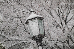 雪の積もった外灯,外灯,電灯,ライト,雪,積もる,冬,寒い,積雪,凍結,大雪,公園,snow,winter,フルサイズ撮影