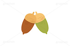 どんぐり,ドングリ,団栗,木のみ,木の実,実,秋,挿絵,挿し絵,acorn,autumn