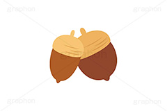 どんぐり,ドングリ,団栗,木のみ,木の実,実,秋,挿絵,挿し絵,acorn,autumn