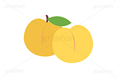 黄桃,もも,桃,モモ,ピーチ,フルーツ,果実,果物,デザート,挿絵,挿し絵,fruit,autumn,peach