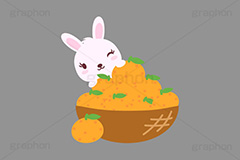 冬はみかん,みかん,ミカン,フルーツ,かご,カゴ,籠,うさぎキャラクター,干支,卯年,お正月,正月,年賀状,うさぎ,ウサギ,卯,兎,兔,ラビット,イベント,ニューイヤー,冬,行事,イラスト,キャラクター,動物,小動物,ポップ,可愛い,かわいい,カワイイ,挿絵,挿し絵,newyear,illustration,POP,winter,rabbit,卯年年賀状