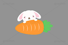 大好物,うさぎキャラクター,イースター,干支,卯年,お正月,正月,年賀状,うさぎ,ウサギ,卯,兎,兔,ラビット,冬,行事,イラスト,キャラクター,動物,小動物,ポップ,可愛い,かわいい,カワイイ,にんじん,ニンジン,キャロット,人参,野菜,挿絵,挿し絵,newyear,illustration,POP,winter,rabbit,carrot,卯年年賀状
