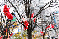 ハチ公前クリスマスデコレーション,渋谷,しぶや,ハチ公前,クリスマスオーナメント,クリスマス,CHRISTMAS,Xmas,飾り,デコレーション,イベント,おもちゃ,shibuya,冬,装飾,ornament,Santa,サンタ,サンタクロース,登る,上る,イルミネーション,行事