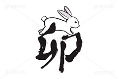 卯年,卯,飛躍,白うさぎ,うさぎ,ウサギ,卯,兎,兔,ラビット,跳ねる,ジャンプ,干支,お正月,正月,年賀状,イラスト,月見,お月見,動物,小動物,挿絵,挿し絵,手描き,筆絵,和風,筆字,newyear,illustration,POP,winter,rabbit,japan,卯年年賀状
