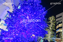 PARCOクリスマスツリー,イルミネーション,イルミ,illumination,電飾,電球,発光ダイオード,LED,冬,キラキラ,綺麗,きれい,キレイ,煌,輝,スポット,都内,渋谷,PARCO,パルコ,真っ青,イベント,shibuya,行事
